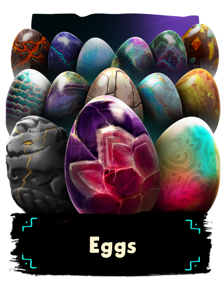 eggs